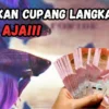 Di Tawar Rp5.000.000 Per Ekor, Ikan Cupang Ini Banyak Dicari Kolektor