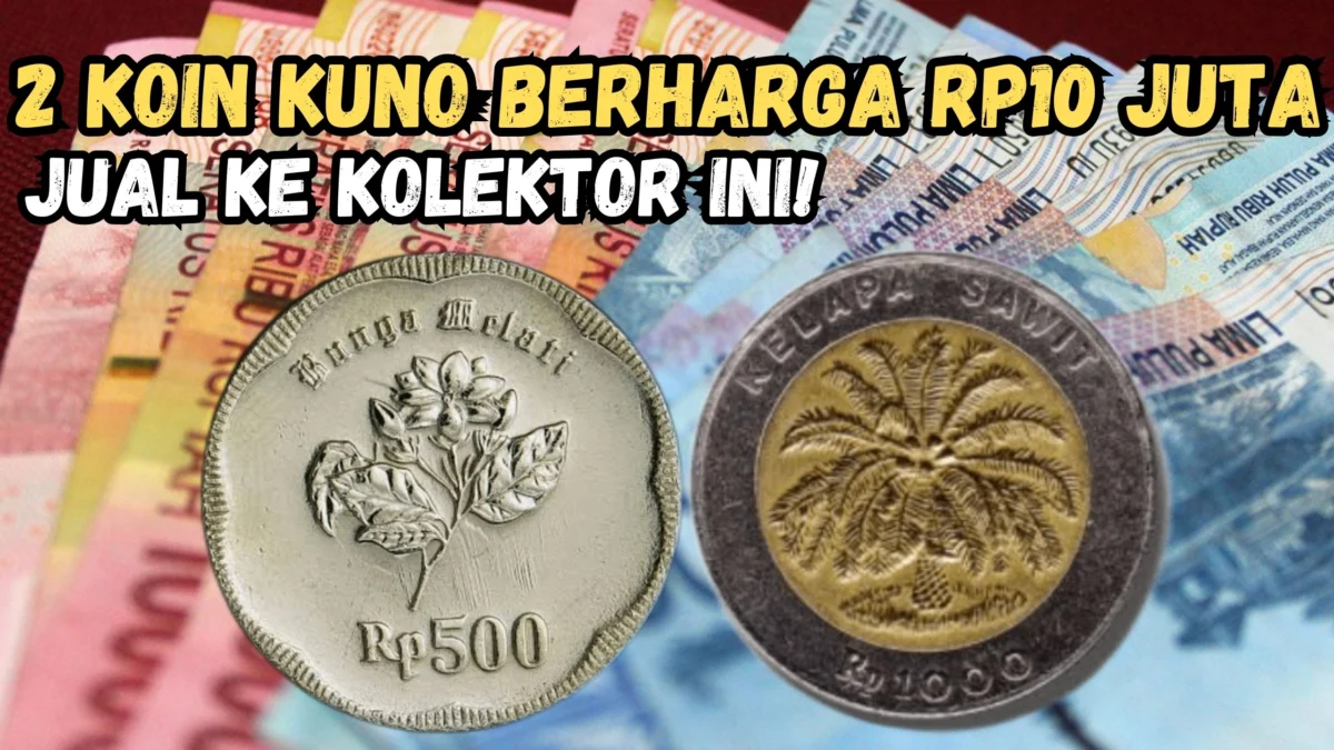 Uang Koin Kuno Rp500 Melati dan Rp1000 Kelapa Sawit Berani Dibeli Rp10 Juta Per Keping Oleh Kolektor Ini