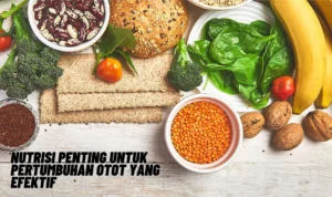 Nutrisi Penting untuk Pertumbuhan Otot yang Efektif, Simak Penjelasannya Disini