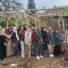 PNM Garut Gelar Klasterisasi Budidaya Markisa, Dorong Kemajuan Usaha di Kecamatan Karangpawitan