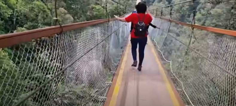 Tiketnya Cuman Rp 40 Ribu, Ini Nih Wisata Jembatan Gantung di Lembang Bandung