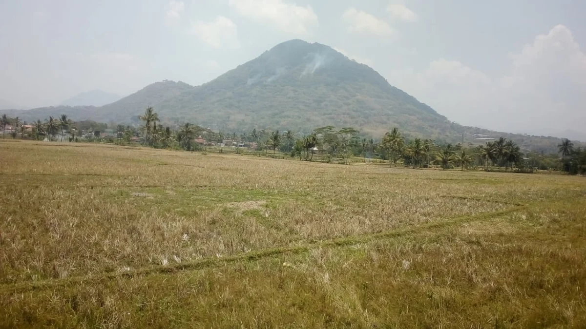 Kebakaran di Gunung Haruman Merembet ke Wilayah Cipareuan