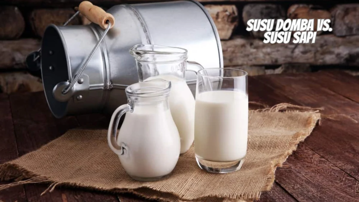 Susu Domba vs. Susu Sapi: Perbandingan Nutrisi