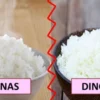 Fakta/Mitos? Nasi Dingin Lebih Sehat daripada Nasi Panas? Cek Faktanya Disini