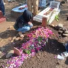 Hari Jumat yang Penuh Berkah! Merenung dalam Ziarah ke Makam sebagai Pintu Kebahagiaan