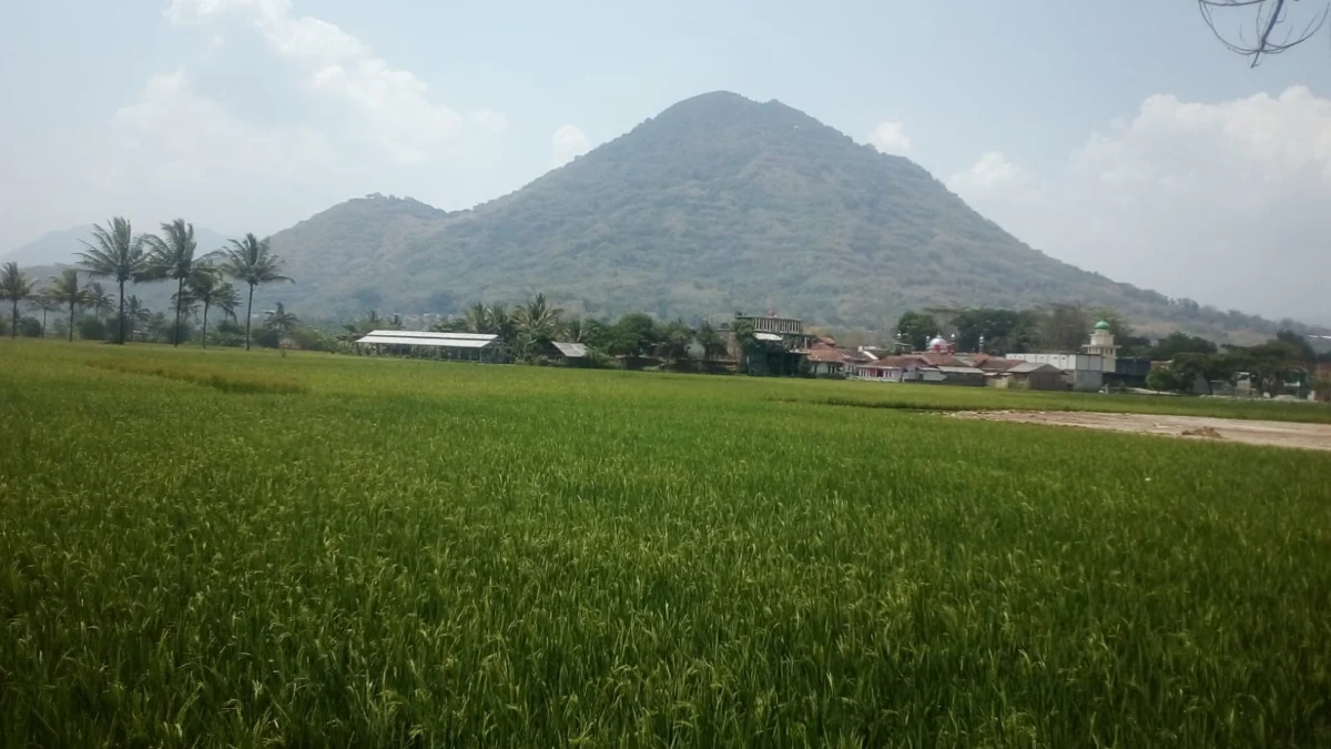 Kebakaran di Gunung Haruman Berhasil Dipadamkan