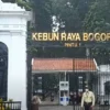 Liburan Menyerukan Jika di Bogor, Inilah Beberapa Destinasi Wisata yang Wajib Kalian Kunjungi