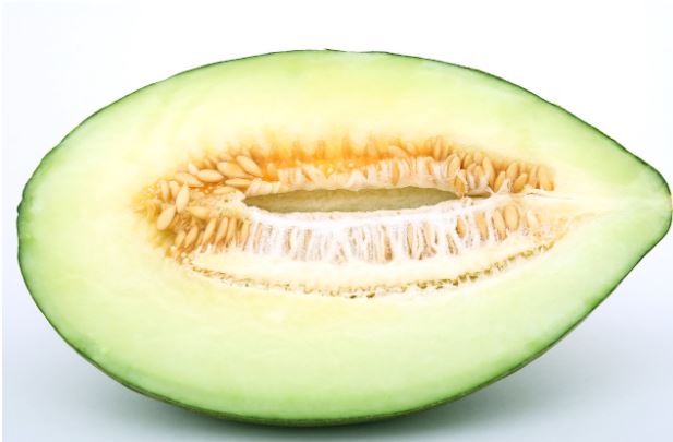 10 Manfaat Melon Bagus Buat Kesehatan Kulit