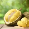 Bahaya! Durian Jangan Dimakan Bersama 5 Makanan Ini, Cek Disini!