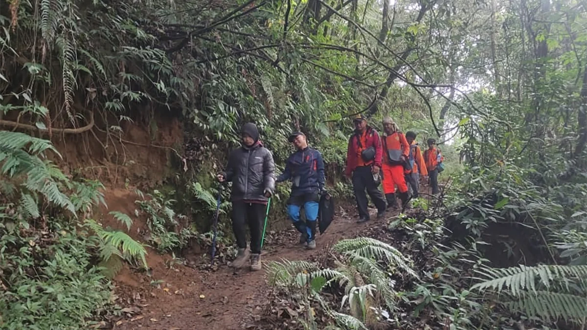 Tim SAR gabungan saat proses evakuas 2 remaja perempuan yang mengalami hipotermia di Gunung Lawu. Foto:-Dok. Kantor SAR Semarang via JPNN-