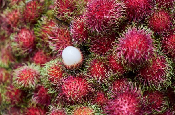 Anda Sudah Tahu Ini Belum? Simak Manfaat Buah Rambutan yang Bagus Buat Kesehatan