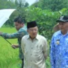 Jusuf Kalla Tidak Akan Meragukan Cak Imin Pada Saat Menjelang Debat Cawapres