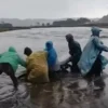 Curah Hujan Tinggi di Gunung Bromo Picu Banjir Bandang di Lautan Pasir