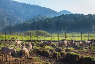 Wajib Kunjungi Tempat Wisata instamable di Kabupaten Bandung