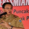 Inilah Reaksi Ahok Saat Disebut Sebagai Kuda Putih Jokowi