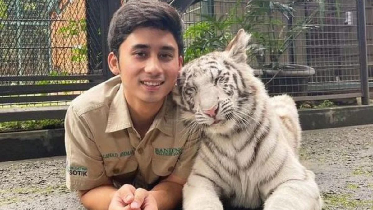 Alshad Ahmad Sumbang Vitamin Untuk Harimau di Medan Zoo