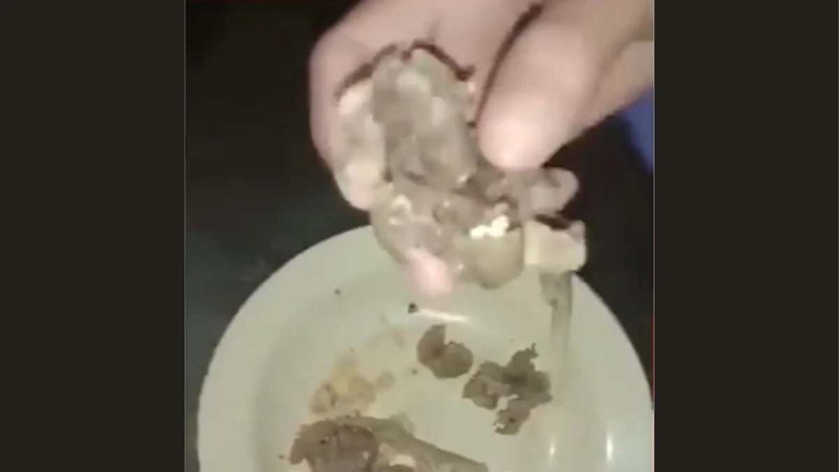 Viral Warga Buleleng Bali Temukan Rawon Diduga Mengandung Daging Tikus Menjadi Perbincangan di Media Sosial