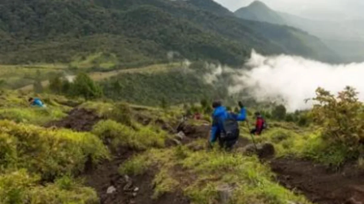 Rekomendasi Berwisata Sambil Mendaki Gunung di Kabupaten Garut