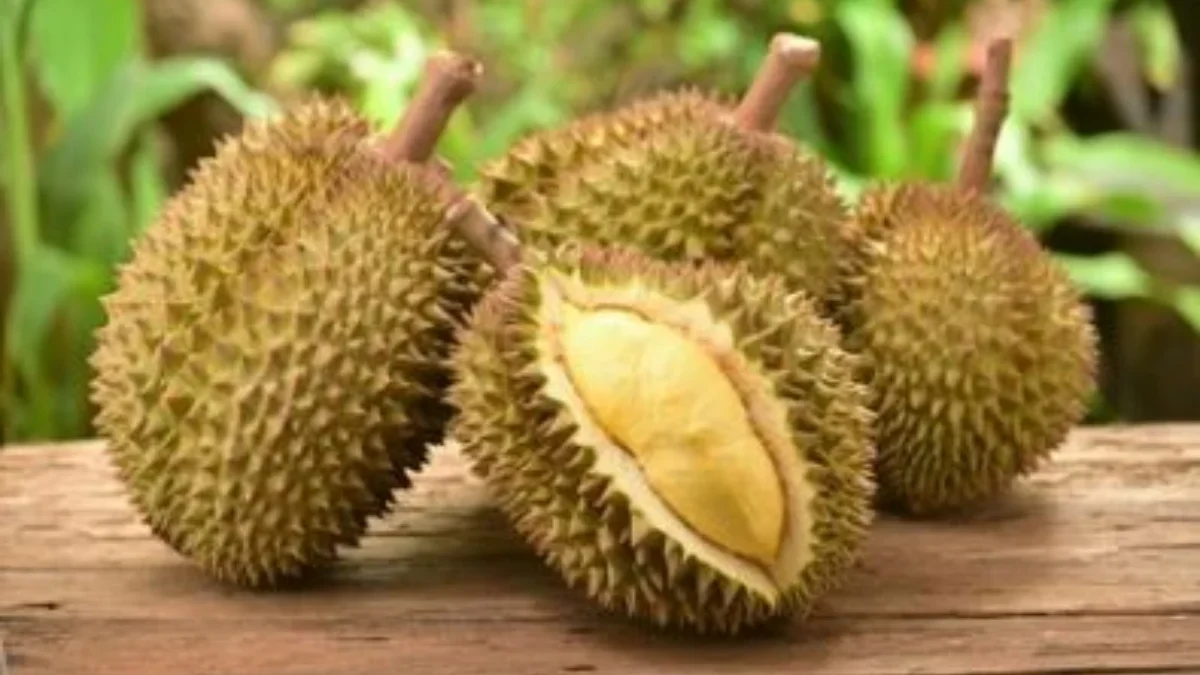 Ketahui Terlalu Banyak Makan Durian Bisa Menyebabkan Efek Samping