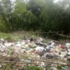 Gerombolan monyet serbu tumpukan sampah