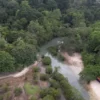 Merinding! Dibalik Keindahan Hutan Sancang, Legenda di Pantai Selatan Garut