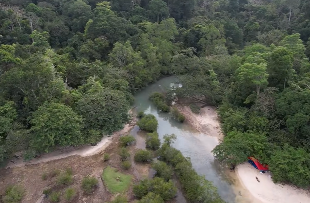 Merinding! Dibalik Keindahan Hutan Sancang, Legenda di Pantai Selatan Garut