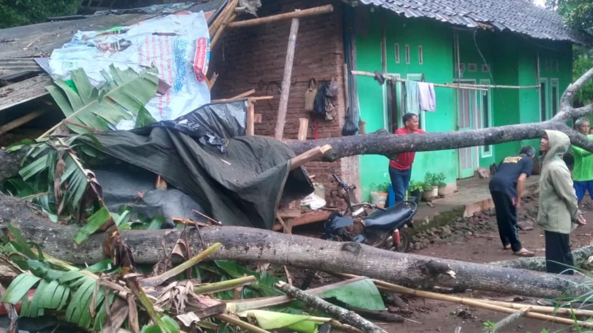 Rumah Wiwi rusak ditimpa pohon