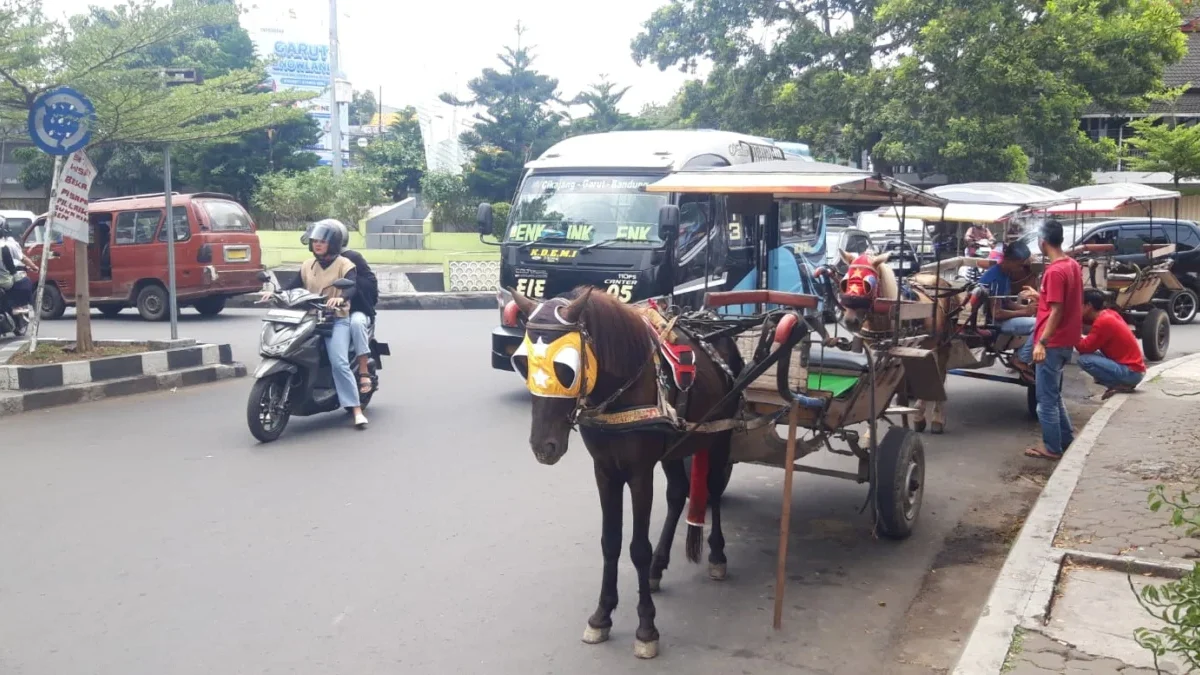 Delman-delman di Bunderan Guntur, Kamis 28 Maret 2024.