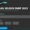 Begini Cara Cek Kelulusan SNBP 2024 dengan Simpel dan Benar