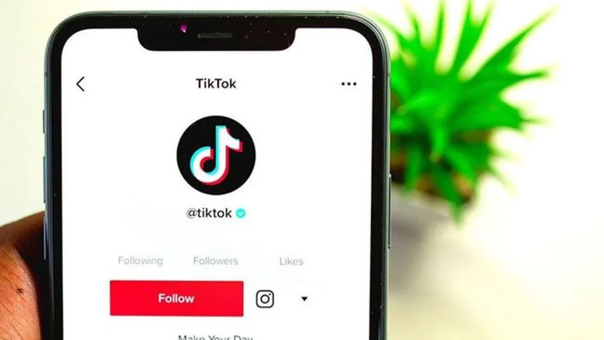 Tips Mudah Mengembalikan Video TikTok yang Terhapus di Hp Android dan iPhone