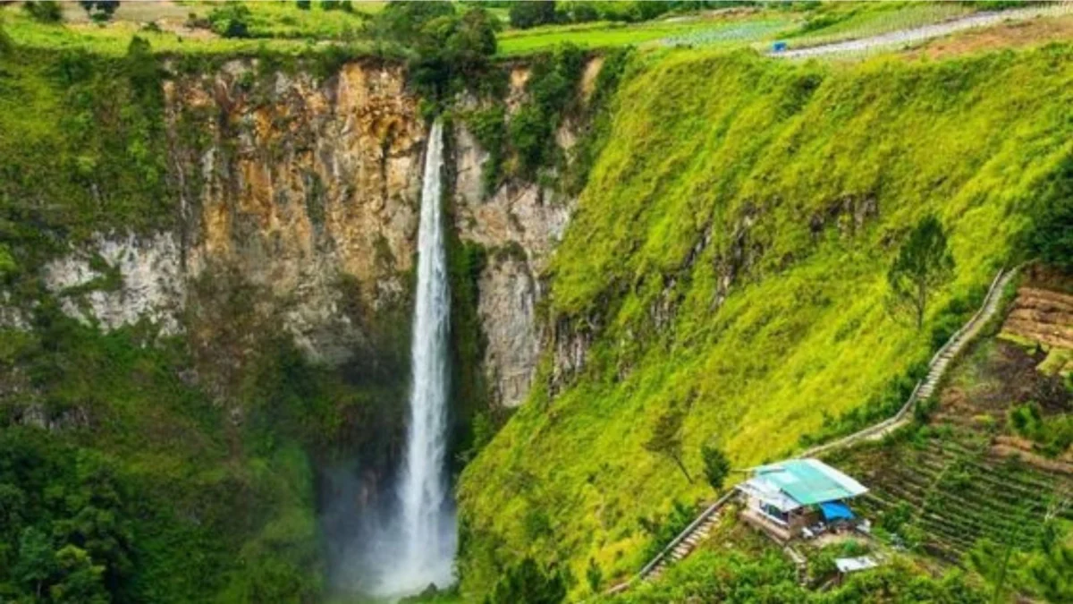 Air Terjun Cagar Alam Panua, Permata Tersembunyi di Balik Hutan Hujan