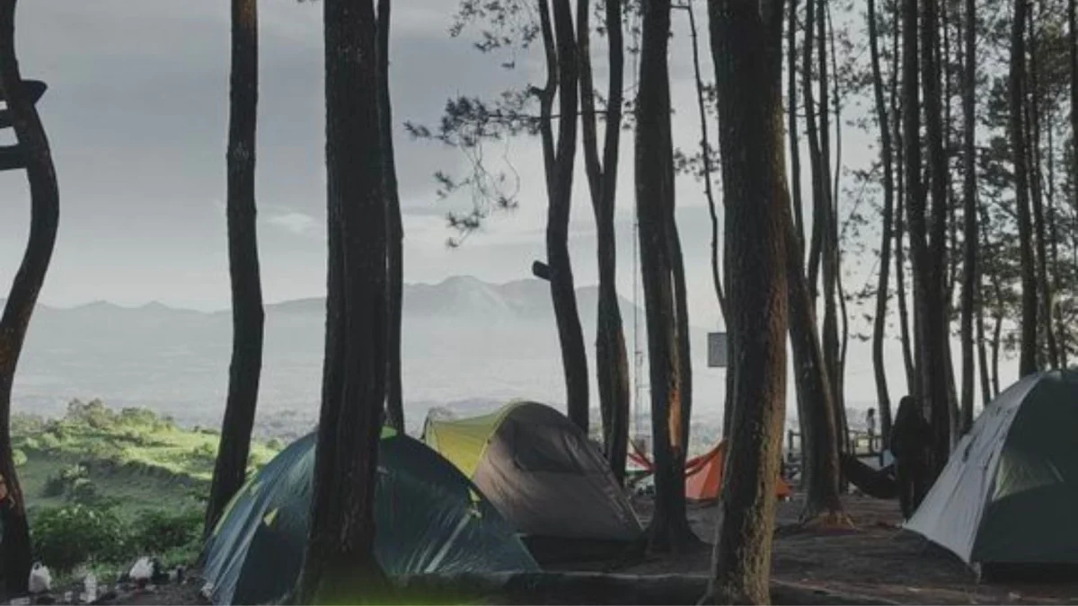 Keindahan Alam Karacak Valley, Wisata Hutan Pinus di Garut yang Menenangkan Pikiran