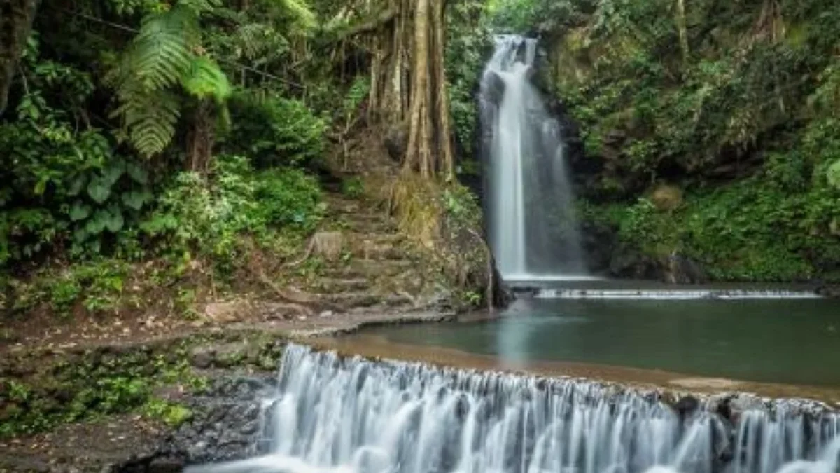 Ayo Tracking di Curug Putri dan Nikmati Keindahan Alamnya