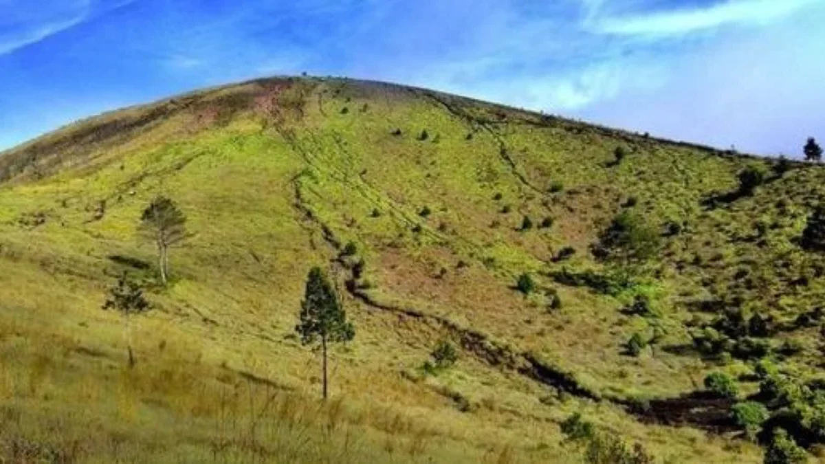 Ayo Cobain Naik ke Gunung Guntur, Pesona Alam yang Memukau