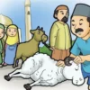 Apa Hukumnya Jika Orang yang Qurban Memakan Daging Hewan Qurbanya Sendiri? Begini Penjelasannya