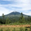 Ini Dia Fakta-fakta Gunung Cikuray Garut Sebelum Mendaki yang Wajib Kamu Ketahui!