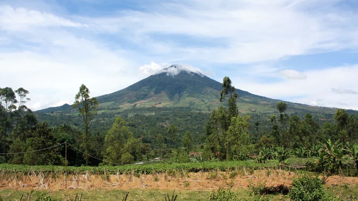 Ini Dia Fakta-fakta Gunung Cikuray Garut Sebelum Mendaki yang Wajib Kamu Ketahui!