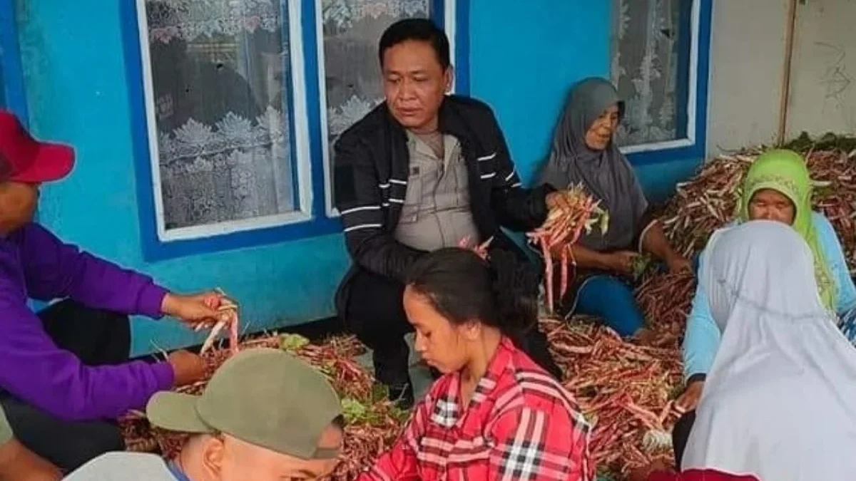 Drs. Ade Najmulloh balon Bupati Garut mengunjungi petani di Desa Simpang, Kecamatan Cikajang.