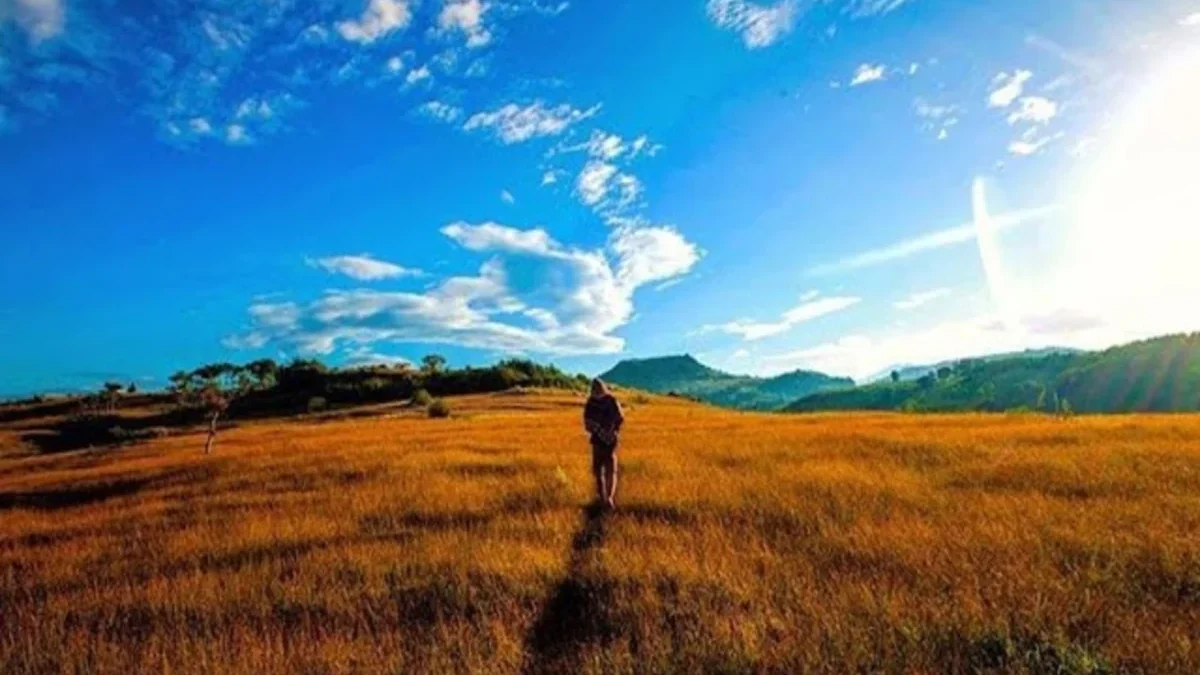 Destinasi Wisata Bukit Pilar Angin Garut, Pesona Padang Savana Yang Menakjubkan