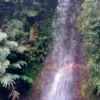 Curug Cihanyawar: Surga Tersembunyi untuk Healing dan Rekreasi Alam di Garut