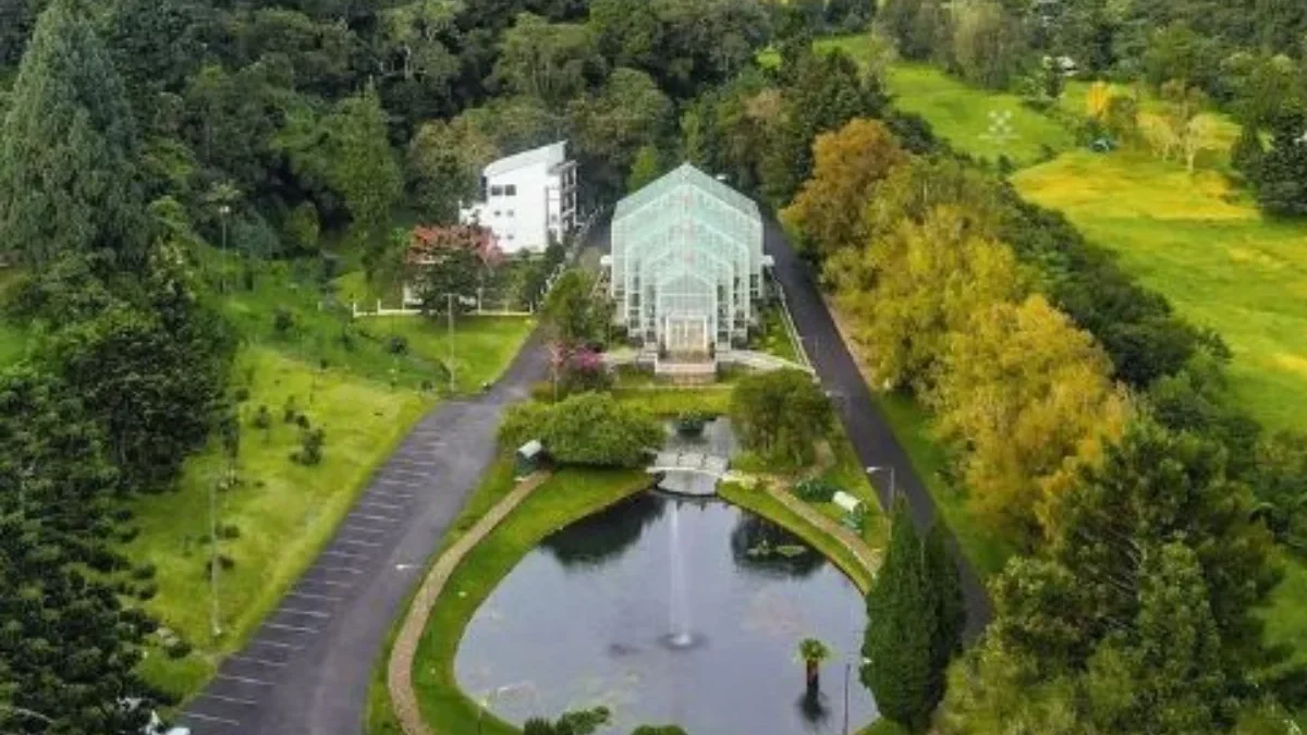 Pengalaman yang Tak Terlupakan dengan Menggeliling Kebun Raya Cibodas Cianjur