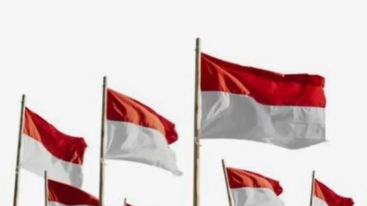 Ukuran Dan Aturan Pemasangan Bendera Merah Putih