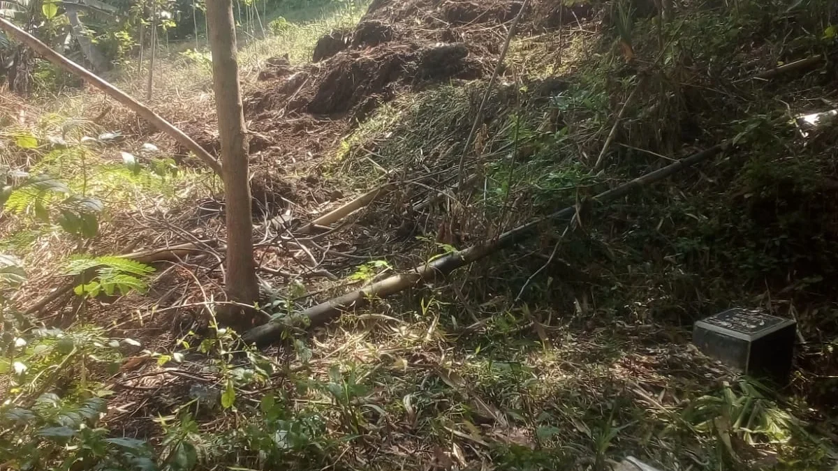 Bukit Lempong Wetan yang berlokasi di Desa Karanganyar Kecamatan Leuwigoong, rawan longsor.(pepen apendi)