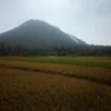 Gunung Haruman kebakaran