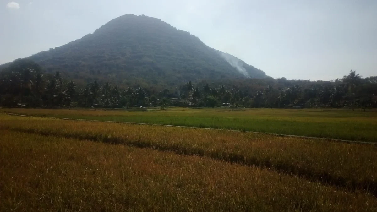 Gunung Haruman kebakaran