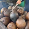 10 Manfaat Air Kelapa Bakar yang Menawarkan Cita Rasa Yang Unik