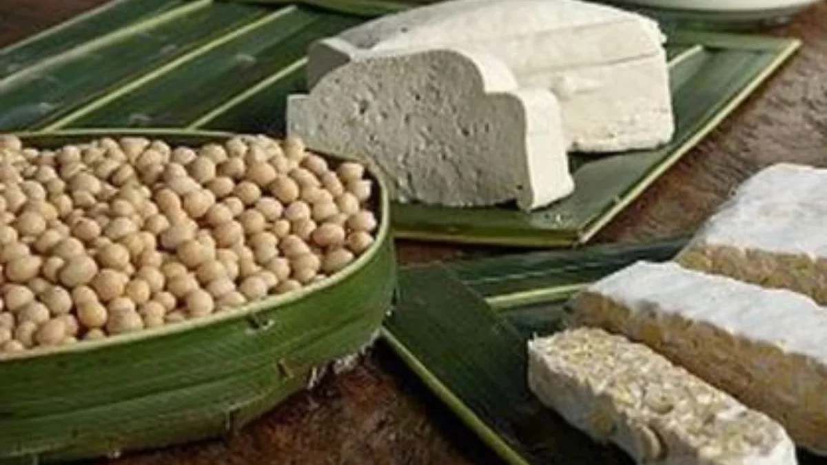 Panduan Lengkap Membuat Tempe dari Bahan Alternatif