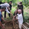 Putri Karlina berkunjung ke Kelompok tani di Kecamatan Pakenjeng