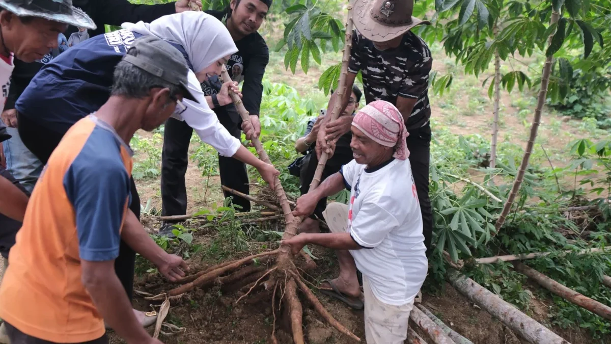 Putri Karlina berkunjung ke Kelompok tani di Kecamatan Pakenjeng