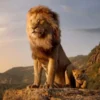 Sinopsis Film The Lion King, Aksi Simba Rebut Kembali Takhta Ayahnya